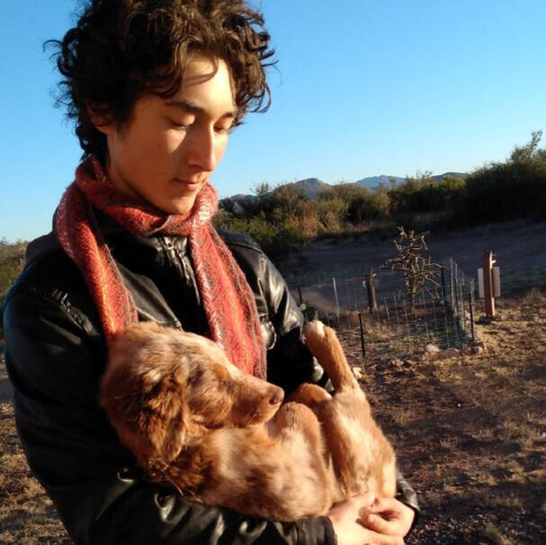 Pup Daddy LLC Professional Puppy Mover in Tucson & Sierra Vista, Arizona